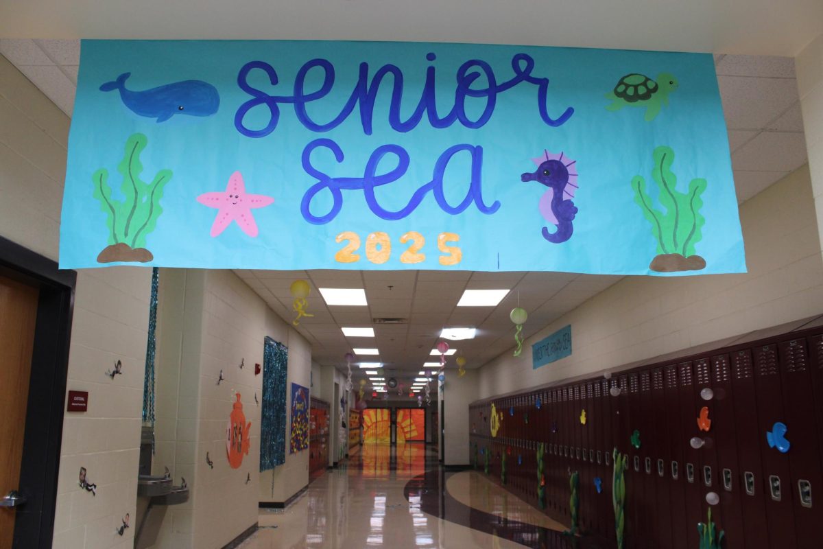 Senior Hallway Decorations